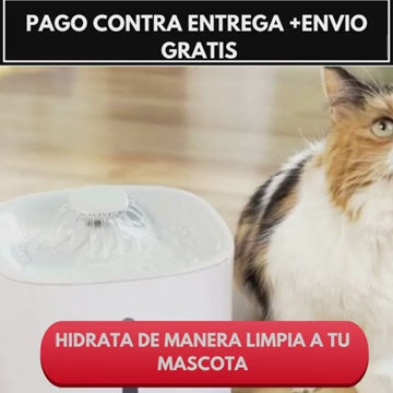 bebedero mascotas fuente electrico